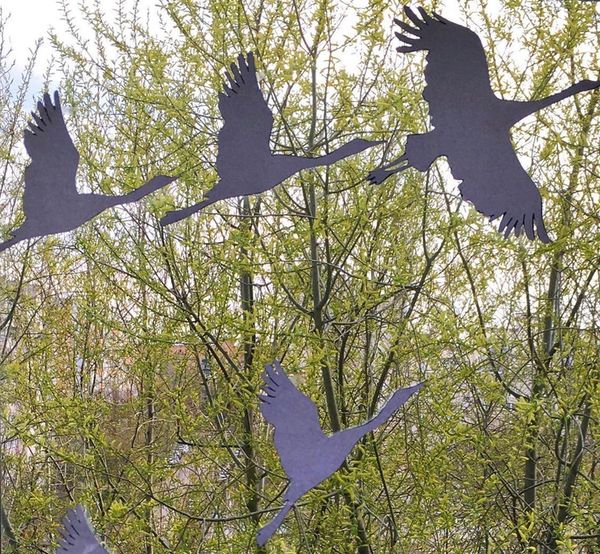 ������-����� ������� � ����!� - ��� ���������, ����������� ����������