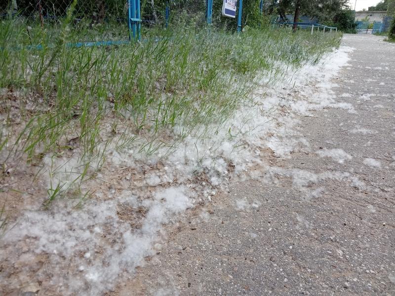 ���������, ����� �������: ��� ��������� ������ ������ ��������� �������  