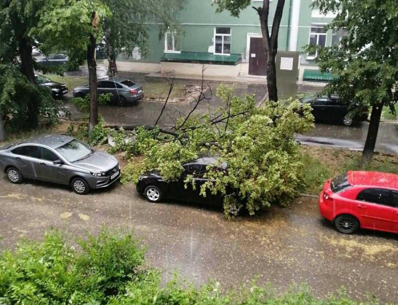 ������� �� ������ �� ����� ����� ������ �������� ������� ���������� Ford Focus, � ������� ���������� ������� � �� ����