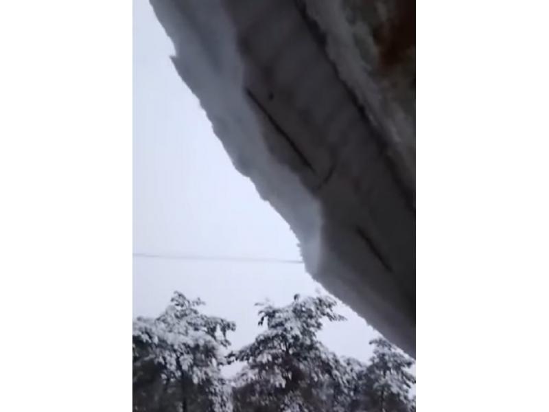      :          . 