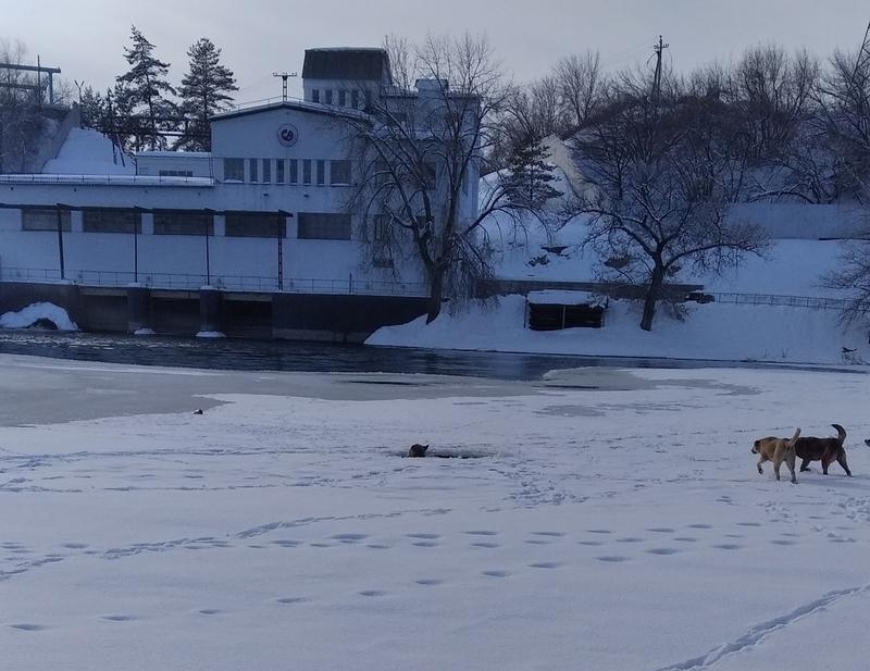 ������� ����������� ��� ��� � 40 ����� �������� �� �����, ���� �� �� �������� ������ �������