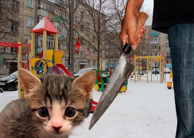 � ��������� ������� ������� ����� �����, � ����������� ����� ����� ����� �����. ������ ������ ��� �� �����