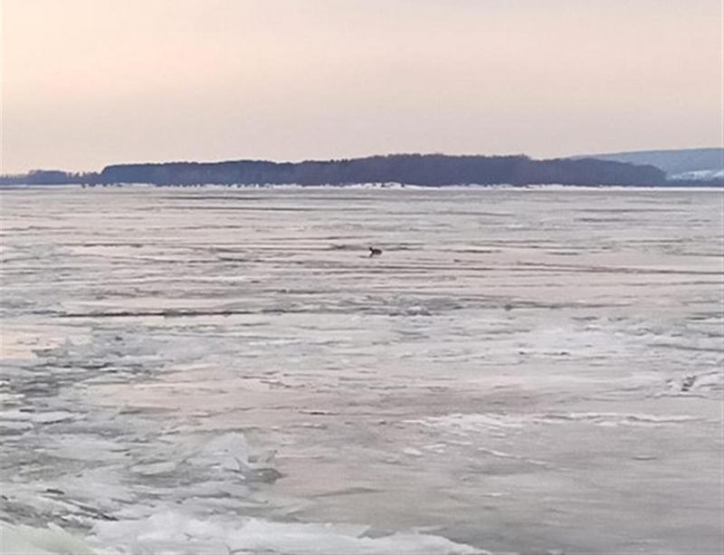 ������ ������ � ����, ������� �� ������ ��� �����: �������� ������ ��� ����