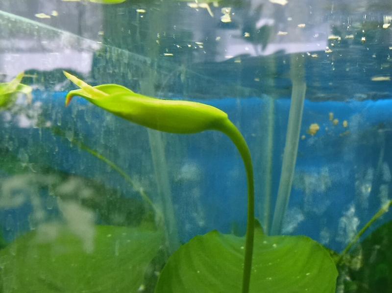 � ���������� ������� �������� ������ ��������� ����������� ������