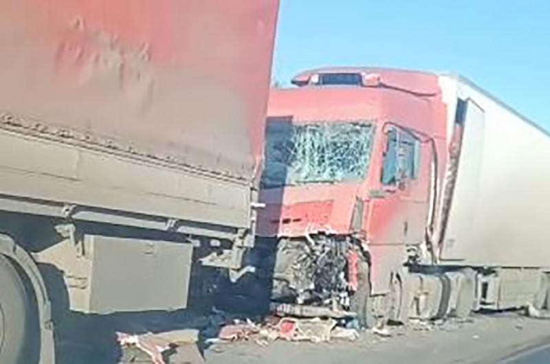 ��� �����������-��������� ����������� �� ������ ��� �������� � ������������ ����� ������