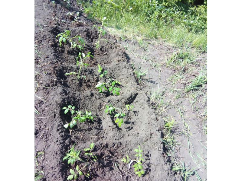 ��� �����? ������ ������� ������ ����������� ��� ���� ���������� �������