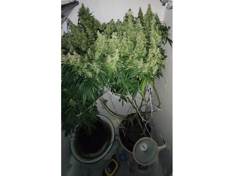 � ������� ���������� �������� � �������� � ������� �������: ��� ������ ������ �������