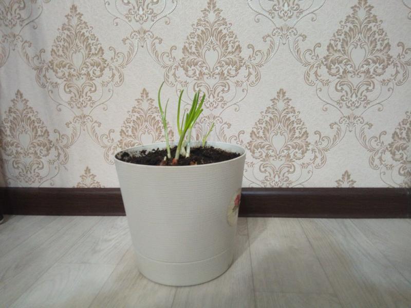 ������ �� ������� ��� �� ����: ��� ��������� ������� ��� �� �����������