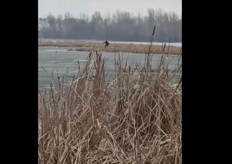 ������ �� ����, ��� ������, �� �����, �� ��������� ���������� ����� ����� ����������� �����