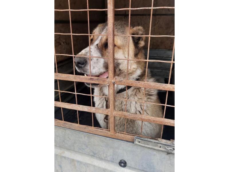 ������, ���������� ������� ������ �����, ������, �� ������ ���������� �� ���� ������� � ������ ������