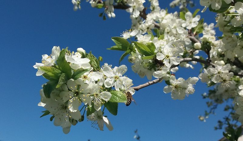 ����� ����� ��������� ���� ����������� - ��� ��� � ������ ���������� ������ ��������