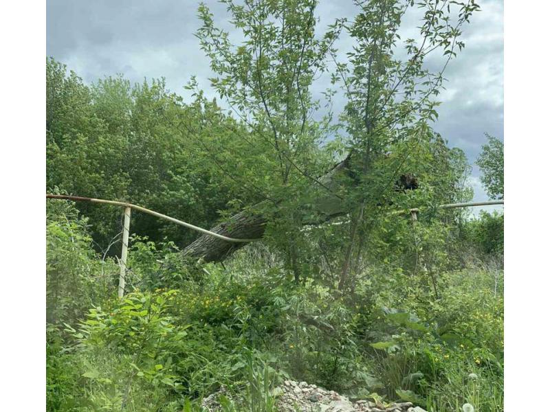 ���� ����� �����: �������� ����� �������� ������� ����, ����� ������ ������� �� ����������