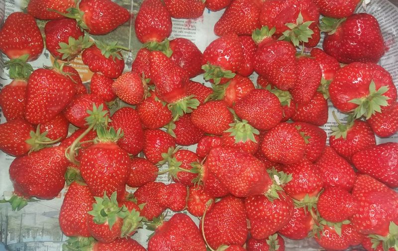 ��� ��� ������: �������� �� ����� �������� ������, ������ � ������� �������� ������ ����, ������, ��������