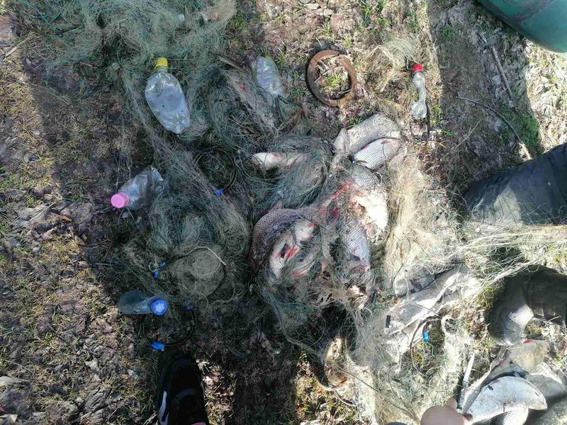 ����������� ��������� �� ����� ������ � �����: ��� ��� ������