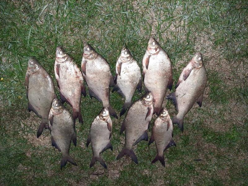 ������� ��������� ������� � �����, �������� � �����: ������ ������� ���������, ��� ������� �� ���������� �������