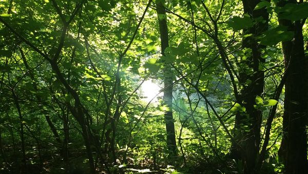 ������������ ��������� ���� - ������������ � ����, ����� ���� ���� ����� � ������ �����������, � �������