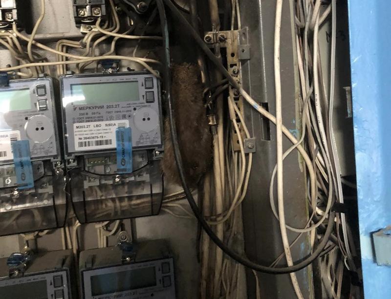 ������� ����� ���� ���������� �� ������ ����: �������� ��������� ��������� ��������� ����� � ������������. �����