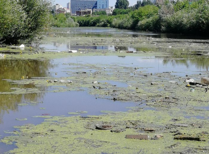 ������ ������� ������� �������� ������� �� ��������, ���� � �� �����, ������ ��� �������