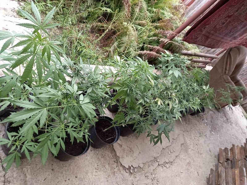 � ������ ������� ������ ���������-������������ ������� ����� ����������