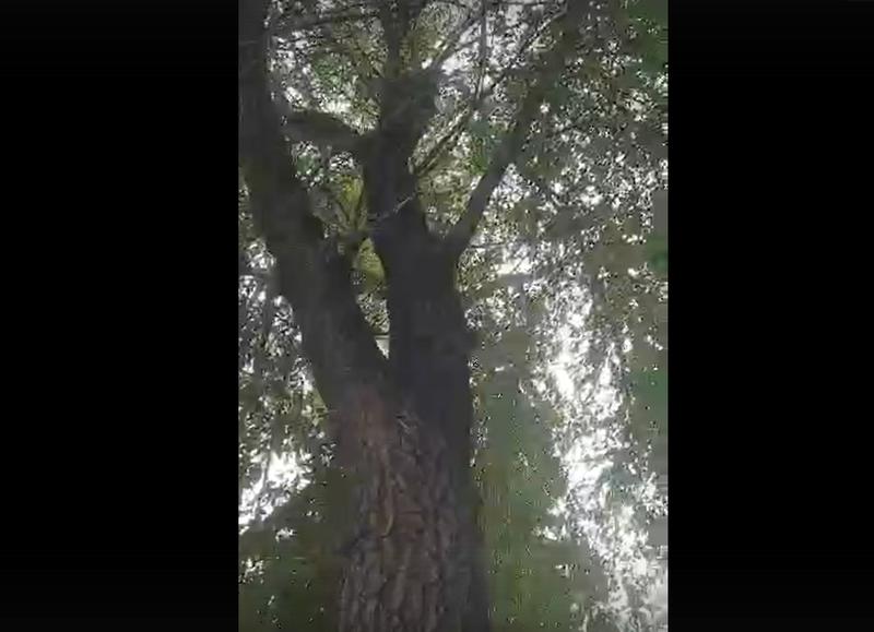 ���������, ����������, ���-������!� ���������� ������� ����� �� ����� �������� ������ ���� �����