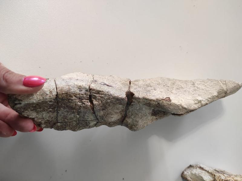 ��������� ���������� ��� �������� ��������� ������� - ��� ���������, ���������� ������