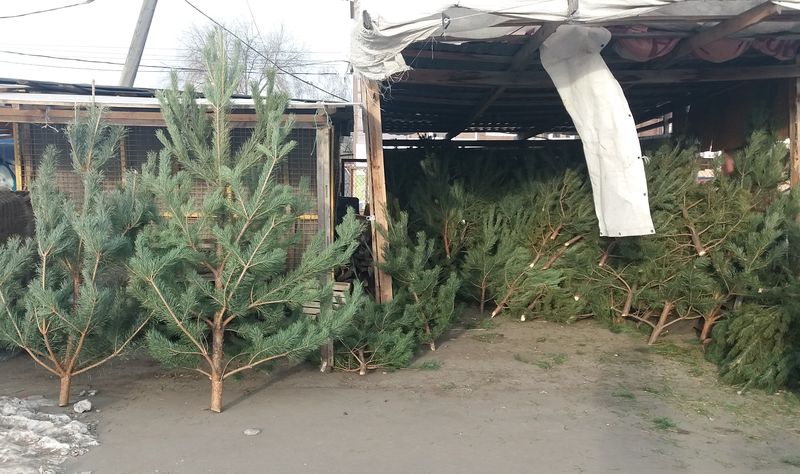 ����� ��������� ���������� ���������� - � ������� �������� ��������� ������