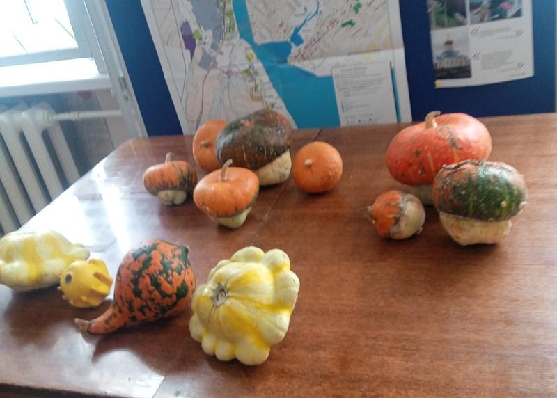 ��� ���: ������, ����, ����? ���������� ������� ��������� �� ���� ����-�����