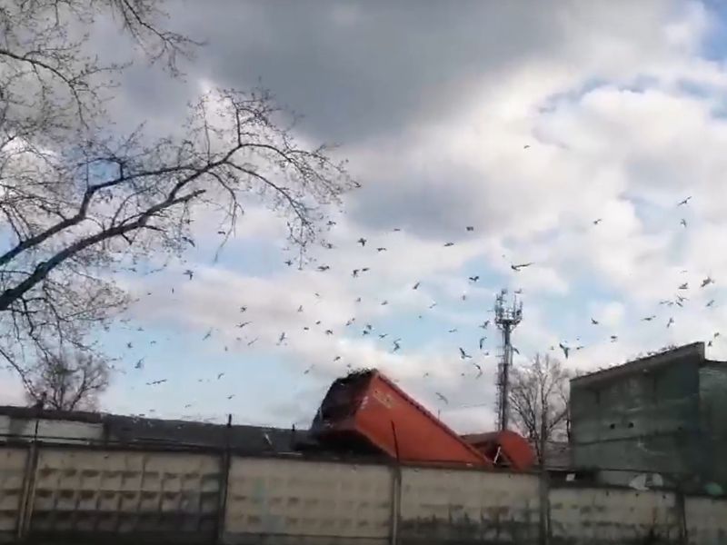 ������� � ������� ���������� �����: ��� ����� ������� �������, ��� � �������. �����