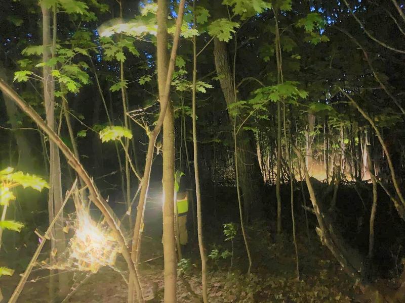 �������, ���������� � ������� � ���� ���������, ����� ������ ���� ����� � ����� �� �� ����, � ������� �� ������