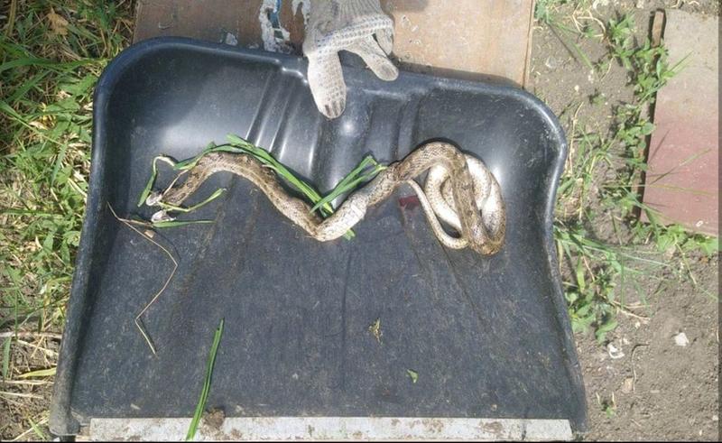 �� ������� � ������ ���������� ���������� ����