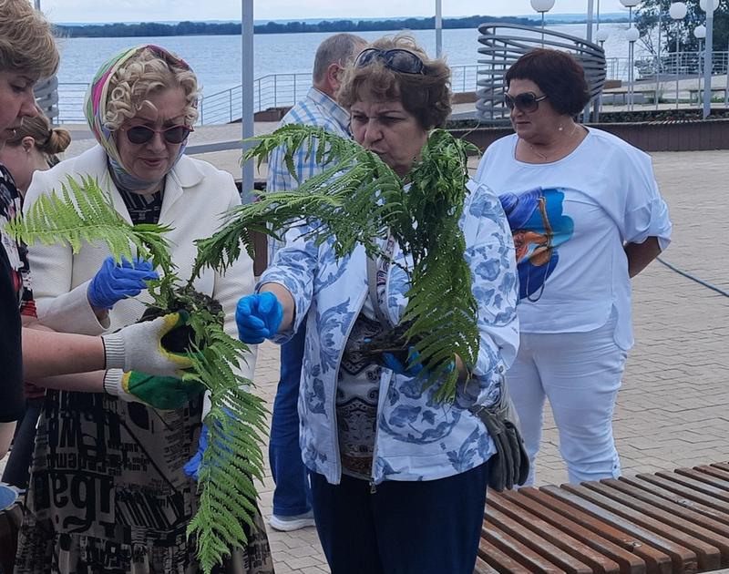 ����� ���������� ������ � ��������������-������������� ����� �� ������� ������