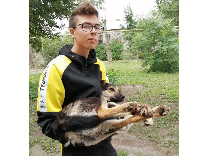    :    ,     