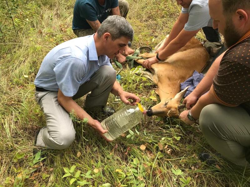 � ��������� ������� ����� ������ ����� �������� ���� ���: ��������� � ������� � ��������� ���������� � ������ ����. �����