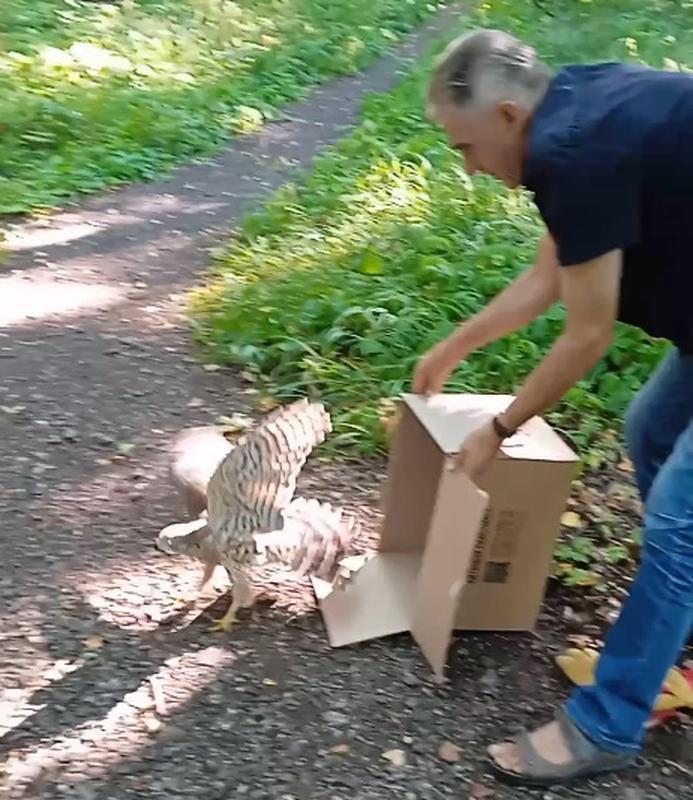 � ��������� ������� ������ �������, �������� �������� ������� ���������