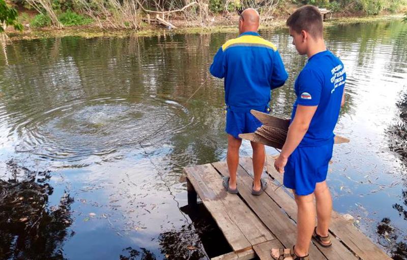 ������� ������� ����� ���������� � ���� � �������� ������: ������� �����