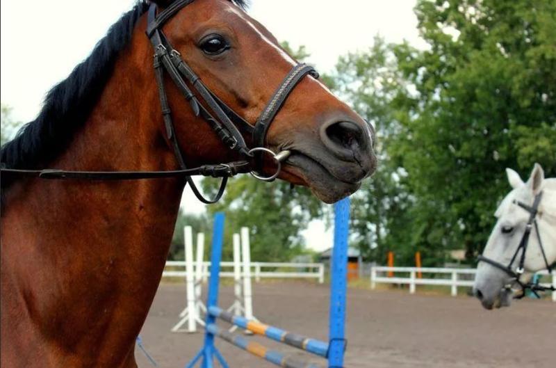 ����������, ������, � ����� - ������� ������, ��������� �� ���� � ���������� ����: � ������� �������� ����� ����������� �� ������� ������