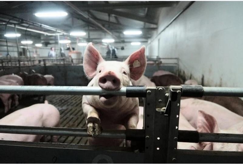 �������� ��-�� ���������� ������� ������� ��� �������� � �������������� ������ - �� ������� ��������