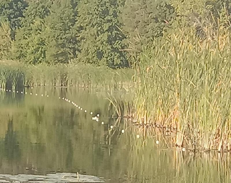 �����������, ����� ������: ���������� � ������� �� ������ �� ����, �� �������� � ���� ����