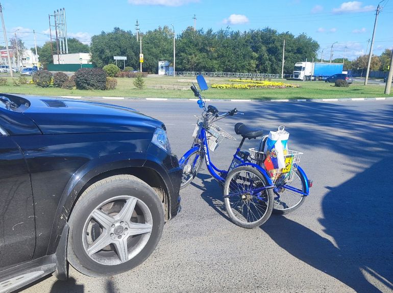 �����, � ���������� ������ � ��������: ���������-������� �� ���������� ������ ��� ������ ��������