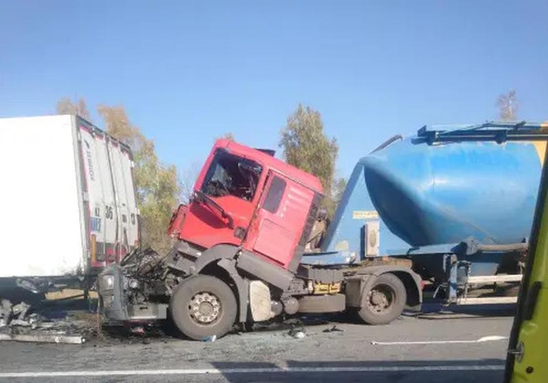 ����� �������� �������������� ������������ ���� ������������ - �������� ������ �� ��� ������������� ������ �������