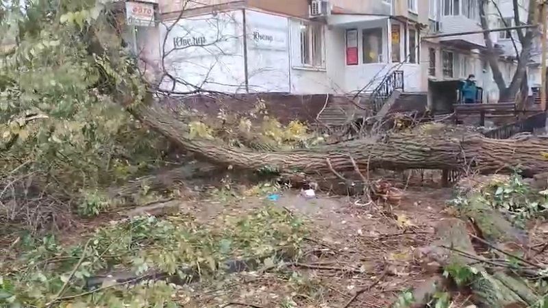 ������� ��� ��������� ������� ����� ������� ������� - ���� ����� ���������� �����