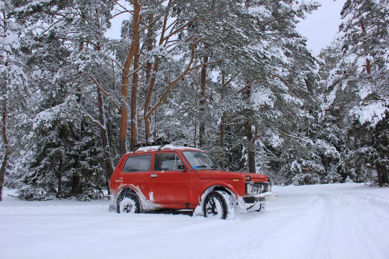 ������������� � ������ �� ���� - � �������� ���������� ������� ����� ������ ������� �� ������