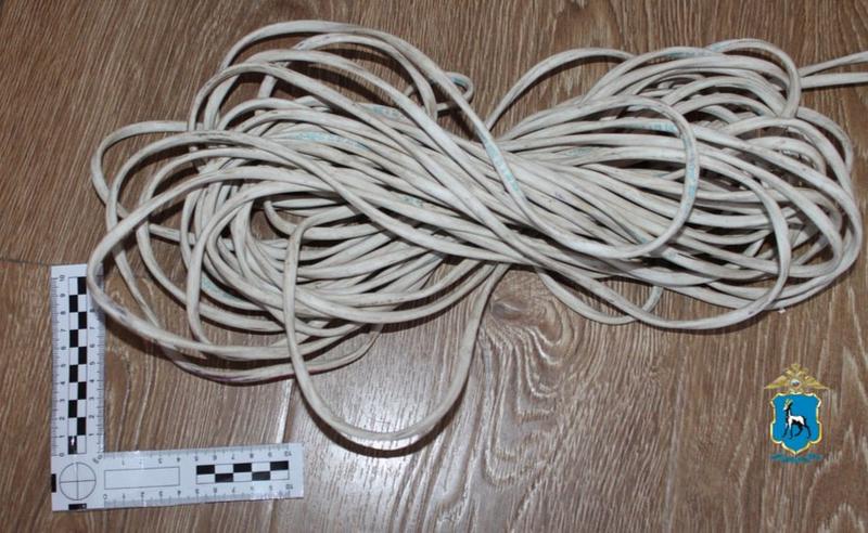 ���������, �������������� �� ������ ���������, �������� ��������� ������������ � ���� �������� ���������