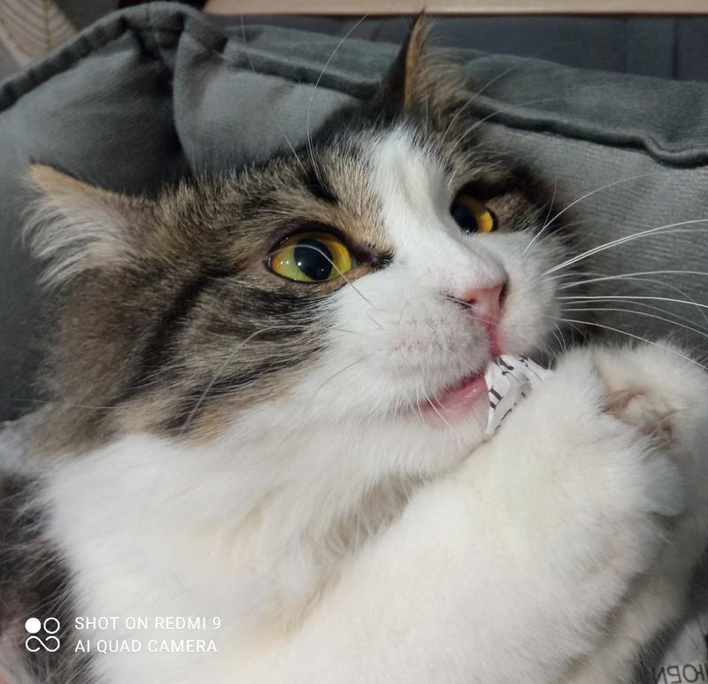 ����� ����� � ������� � ������ �������� �������� ���� � ���