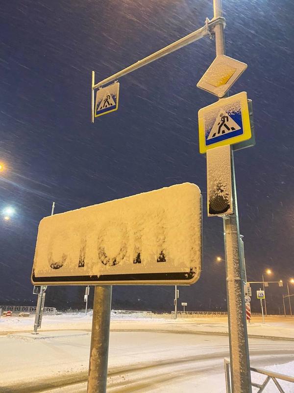 ����������������� ������� ������������ � �������� � ���������� ���� ������