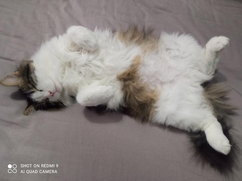 �������� ��� �������� �����, � ������� ����� - �������� �����: ������� ����� ����� ��������� �������� �� ��� ������