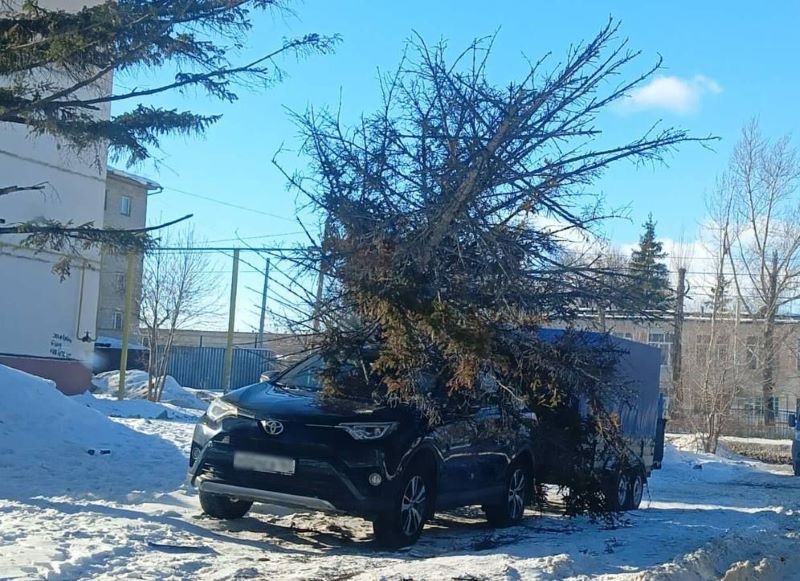 �� ������������ �������� �� ������ ����� ������