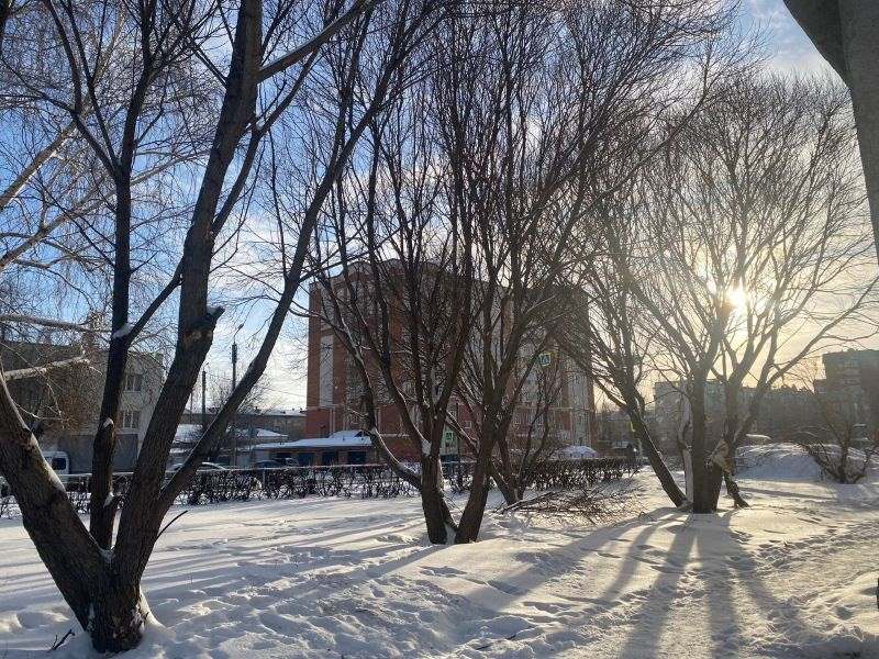 ������� ����� ����������� ������� ����������� ��������� - ����� ����� ����������� ���� � �������