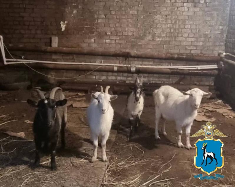 ���������� � ��������� ������� ������� ��������� ����� ������� ��������� - �� ��� �������������� �����