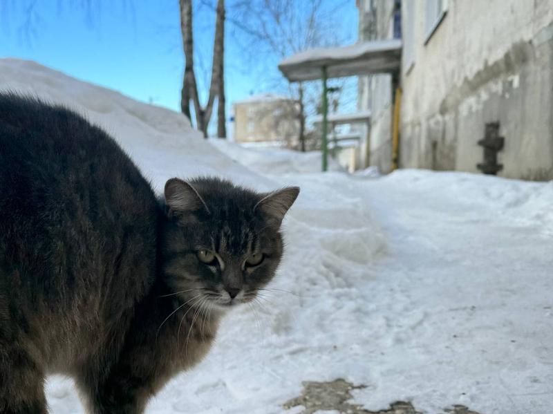 ��������� ��������� ��������������: ������ � ��������� ������� ������ ���� �� �������, � ����������